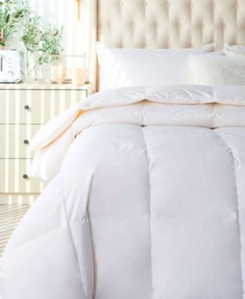 Royal Elite All Season Comforter Collection