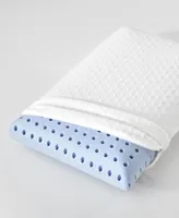 ProSleep Gel Support Conventional Memory Foam Pillow, Standard/Queen