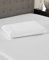 ProSleep Gel Support Conventional Memory Foam Pillow, Standard/Queen