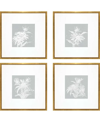 Echinacea Framed Art, Set of 4