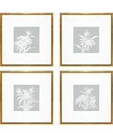 Echinacea Framed Art, Set of 4