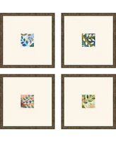 Botanical Iii Framed Art, Set of 4