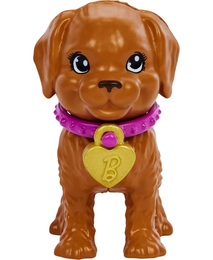 Barbie Doll and Accessories Pup Adoption Playset with Doll, 2 Puppies and Color-Change