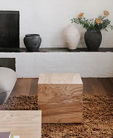Nash 18" Burl Wood Veneer Square Coffee Table
