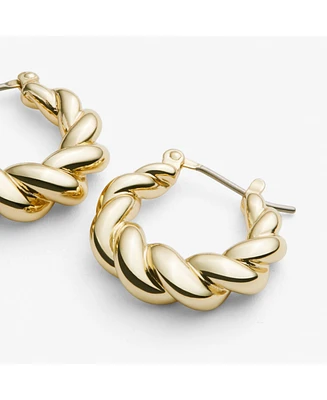 Ana Luisa Twisted Hoop Earrings - Paris