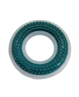 JoJo Modern Pets Nylon Dental Dog Chew Ring – 4" Diameter for Oral Care