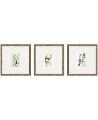 Antique-Like Botanical I Framed Art, Set of 3