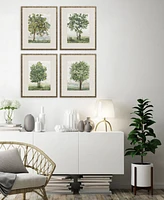 Countryside Growth Framed Art, Set of 4