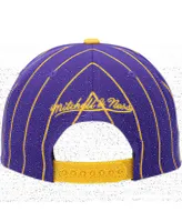 Men's Mitchell & Ness Purple, Gold Los Angeles Lakers Hardwood Classics Pinstripe Snapback Hat