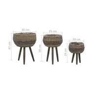 vidaXL Planter 3 pcs Wicker with Pe Lining