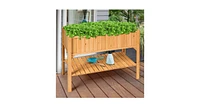 Wooden Elevated Planter Box Shelf Suitable for Garden Use