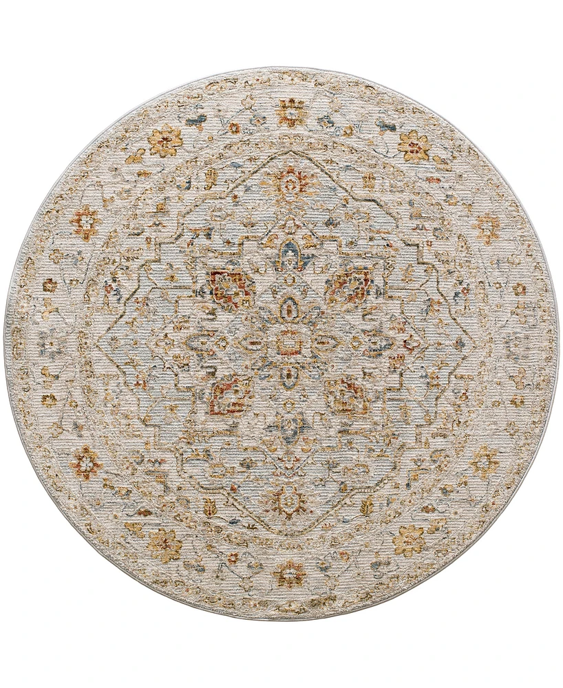 Surya Reina Ren- 7'10" x 7'10" Round Area Rug