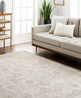 Livabliss Masterpiece High-Low Mpc-2300 7'10" x 10'2" Area Rug