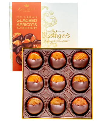 Bissinger's Handcrafted Chocolate Dark Glaceed Apricots, 9 Piece