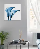 Empire Art Direct "Indigo Calla Lilies" Frameless Free Floating Tempered Glass Panel Graphic Wall Art, 24" x 24" x 0.2"