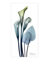 Empire Art Direct "CaLIa LIly" Frameless Free Floating Tempered Glass Panel Graphic Wall Art, 48" x 24" x 0.2"