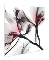 Empire Art Direct "Coral Luster 2" Frameless Free Floating Tempered Glass Panel Graphic Wall Art, 24" x 24" x 0.2"