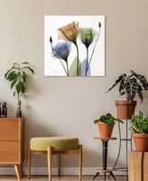 Empire Art Direct "Gentian Buddies" Frameless Free Floating Tempered Glass Panel Graphic Wall Art, 24" x 24" x 0.2" - Multi