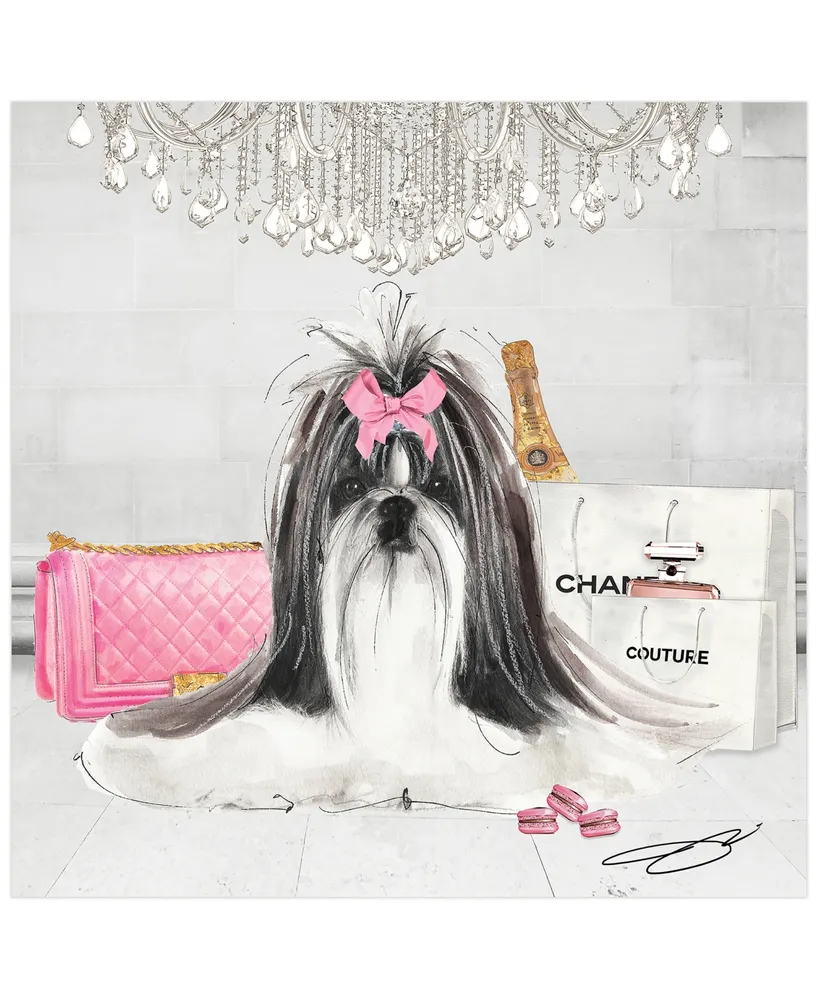 Empire Art Direct "Pink Shih Tzu" Unframed Free Floating Tempered Glass Panel Graphic Dog Wall Art Print 20" x 20" , 20" x 20" x 0.2" - Multi