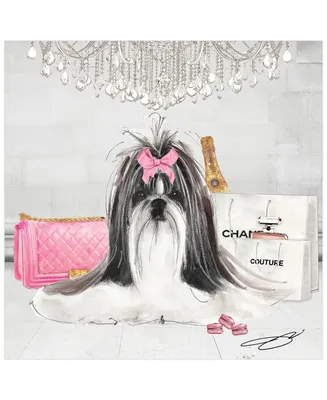 Empire Art Direct "Pink Shih Tzu" Unframed Free Floating Tempered Glass Panel Graphic Dog Wall Art Print 20" x 20" , 20" x 20" x 0.2"