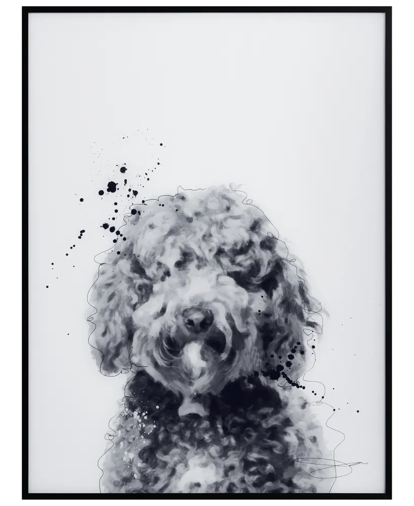 Empire Art Direct Poodle Pet Paintings on Printed Glass Encased with A  Black Anodized Frame, 24 x 18 x 1