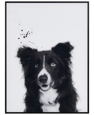 Empire Art Direct "Border Collie" Pet Paintings on Printed Glass Encased with A Black Anodized Frame, 24" x 18" x 1"