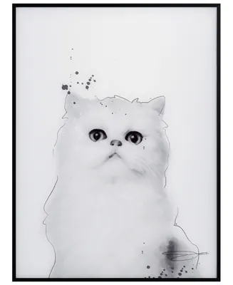 Empire Art Direct "Persian" Pet Paintings on Printed Glass Encased with a Black Anodized Frame, 24" x 18" x 1"