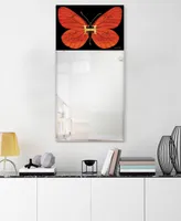 Empire Art Direct "Designer Butterfly" Rectangular Beveled Mirror on Free Floating Printed Tempered Art Glass, 48" x 24" x 0.4"