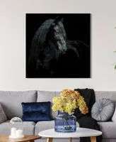 Empire Art Direct "Black Equine Attraction" Frameless Free Floating Tempered Glass Panel Graphic Wall Art, 38" x 38" x 0.2"