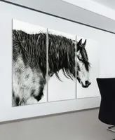 Empire Art Direct "Black and White Horse Portrait Iii Abc" Frameless Free Floating Tempered Glass Panel Graphic Wall Art Set of 3, 72" x 36" x 0.2" ea