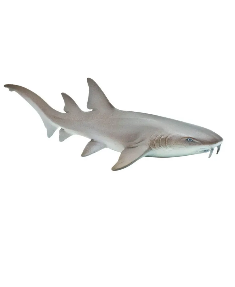 Safari Ltd Nurse Shark Sea Life Figure