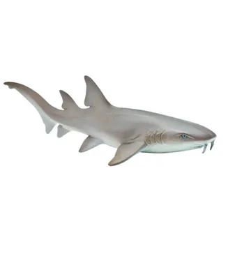 Safari Ltd Nurse Shark Sea Life Figure