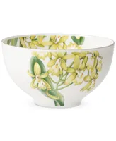 Villeroy & Boch Amazonia Rice Bowl