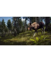 Way Of The Hunter