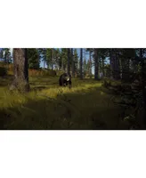 Way Of The Hunter