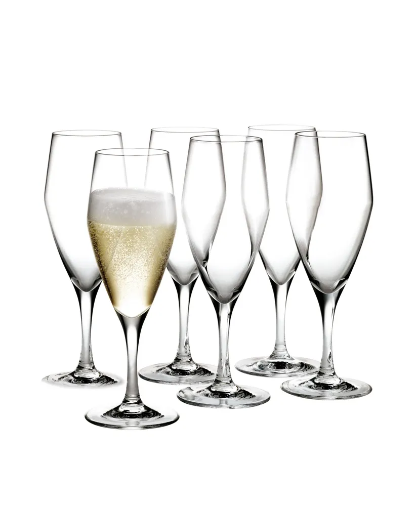 Perfection Champagne Glass (Set of 6)