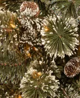 National Tree Company 4' Glittery Bristle Pine Entrance Tree with 100 Clear Lights