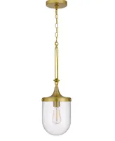 26" Height Metal Pendant with Clear Bubble Glass Shade
