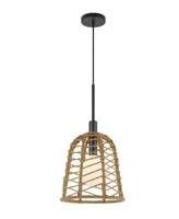 Parkton 1 Light 21.25" Height Metal Pendant