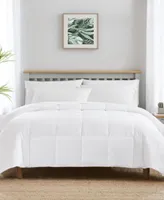 Tommy Bahama Home Get Cozy Toss Turn Comforters