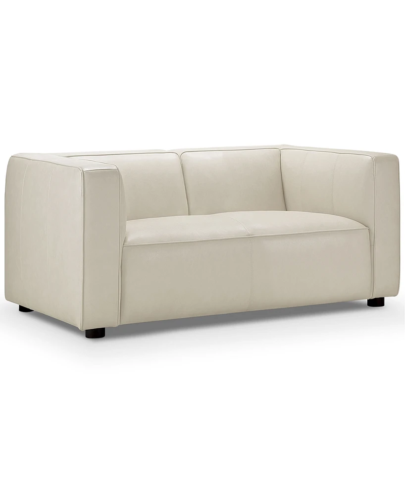 Blake 71" Leather Modern Deep Seat Loveseat