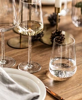 Zwiesel Glas Vervino Long Drink 16.4oz - Set of 6