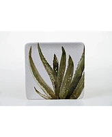 Certified International Cactus Verde 4-Pc. Square Dessert Plate