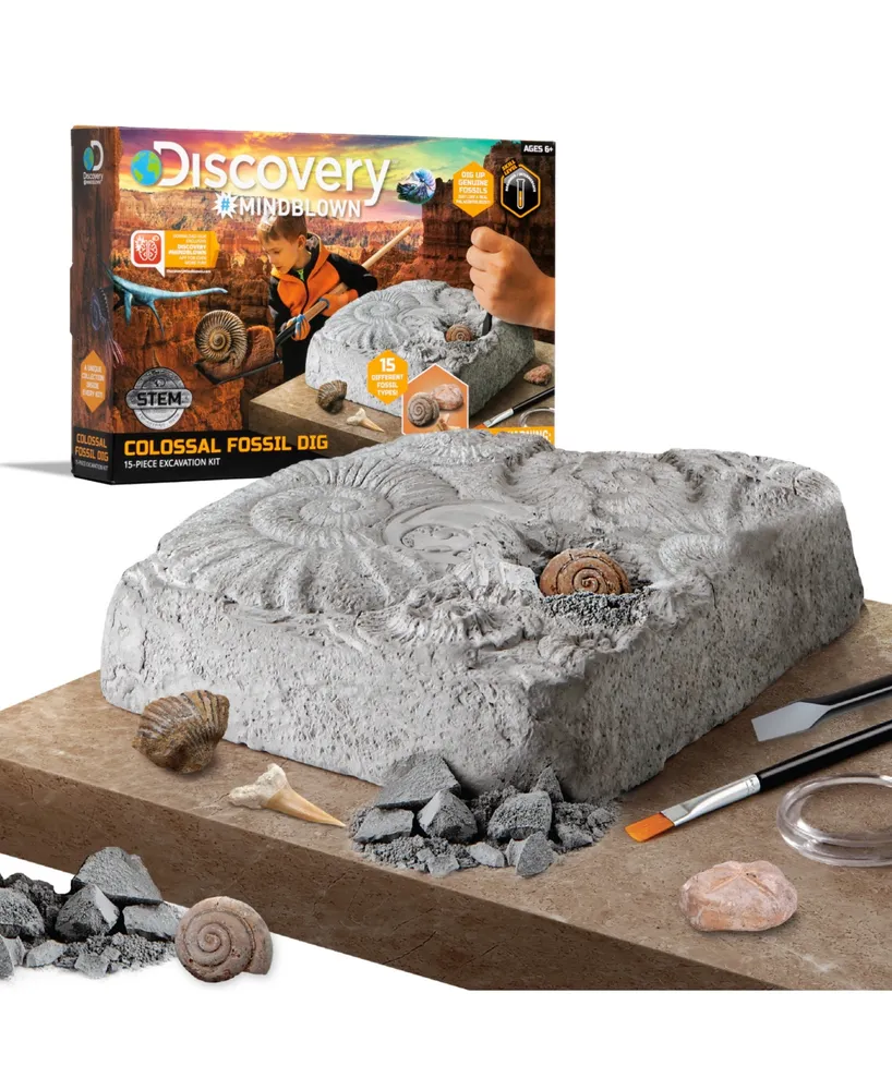 Discovery #Mindblown ColossalFossil Dig Set, 15-Piece Archeology Excavation Kit