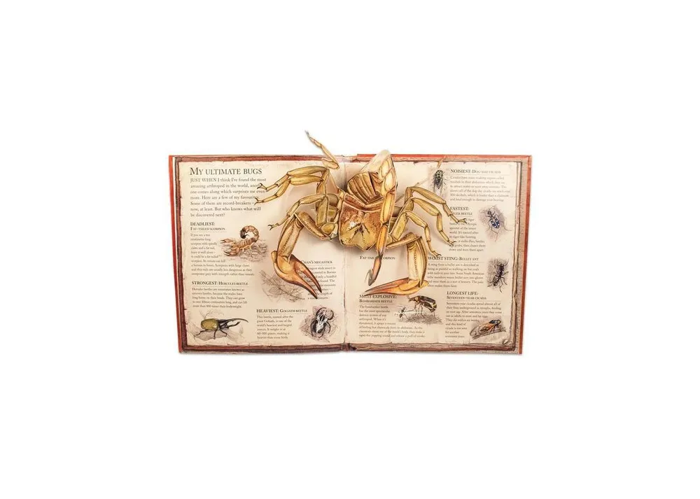 Bugs- A Stunning Pop-Up Look at Insects, Spiders, and Other Creepy