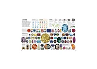Picturepedia, Second Edition- An Encyclopedia on Every Page by Dk