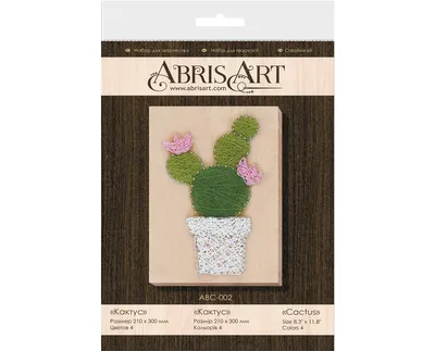 Creative Cross Stitch Kit/String Art Cactus - Assorted Pre