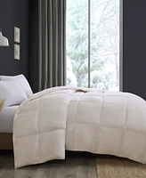 Sleep Philosophy Heavy Warmth Goose Feather & Down Filling Comforter