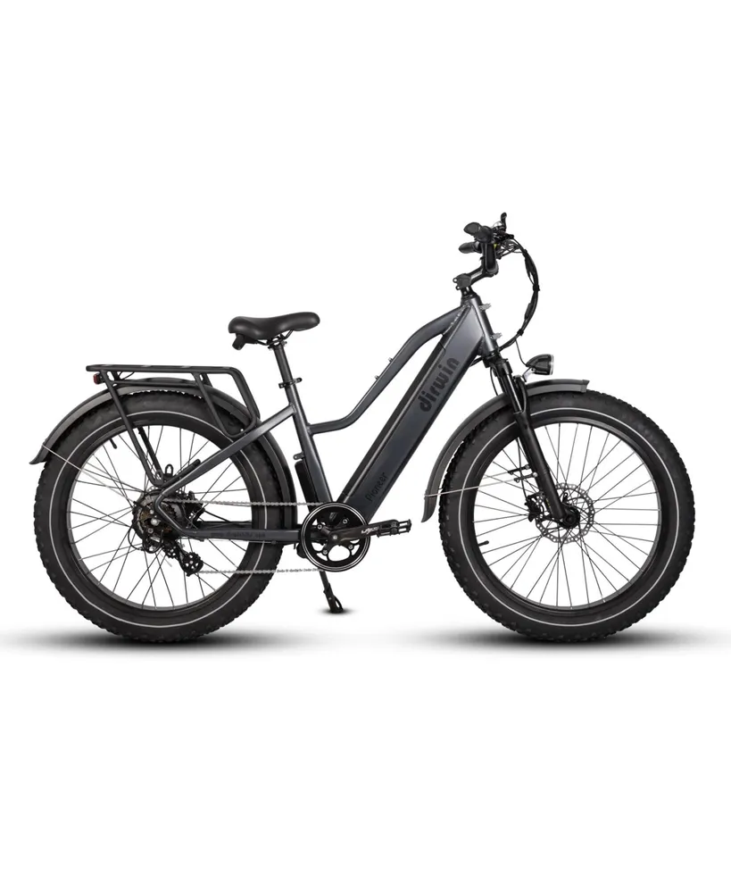 Pioneer Step-thru Fat Tire Electric Bike