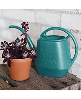 Bloem Aqua Rite Plastic Watering Can, Bermuda Teal, 56 oz